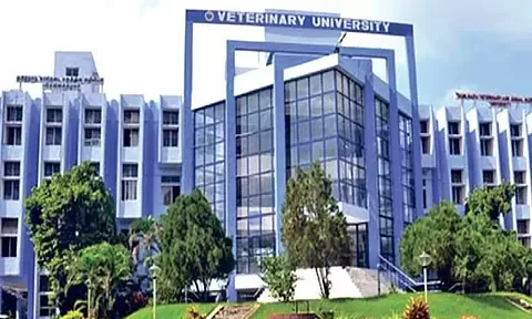 College of Food and Dairy Technology